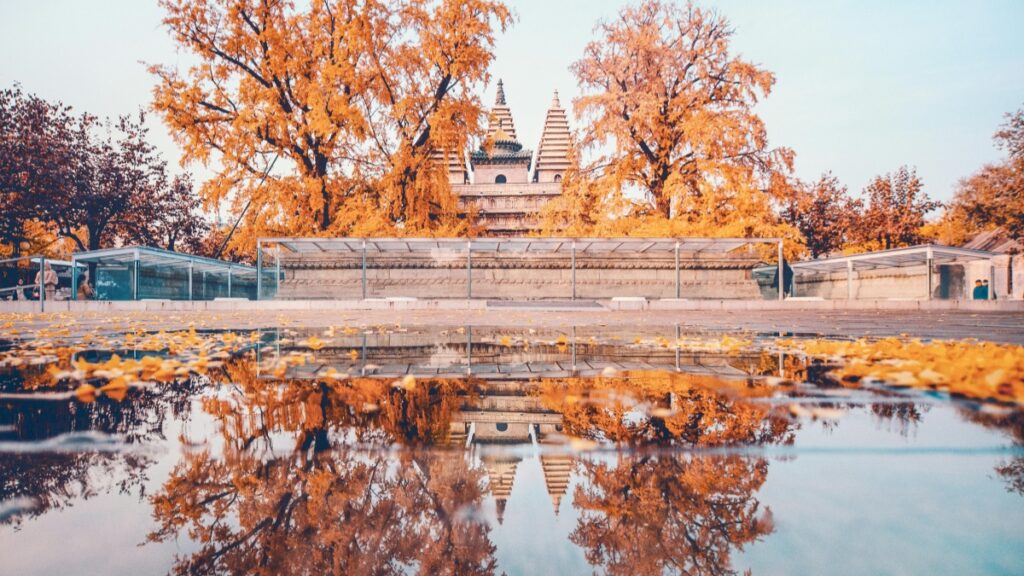 ບລັອກເກີ Zalo ຂອງລາວ ຈະຫາຜູ້ລົງຂ່າວຂອງລັດເຊຍ ໄດ້ແນວໃດ