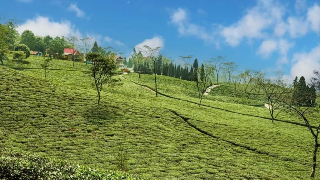 ວິທີເຮັດບລັອກເກີ Facebook ຂອງລາວ ໃຫ້ຫາຜູ້ລົງຂ່າວຈາກສິງກະໂປ
