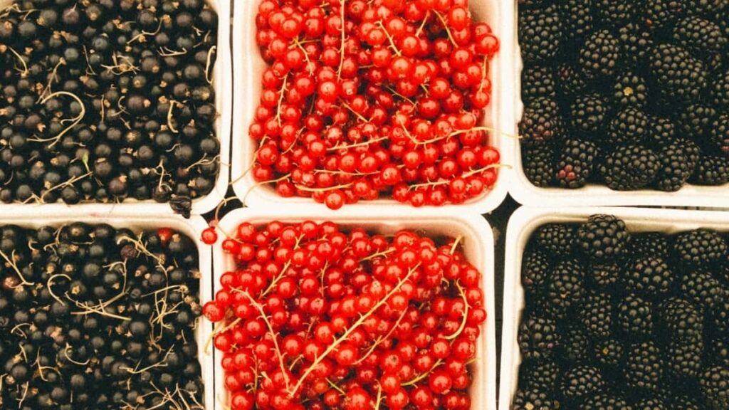 Top 10 Pinterest Influencers You Should Collaborate With in India