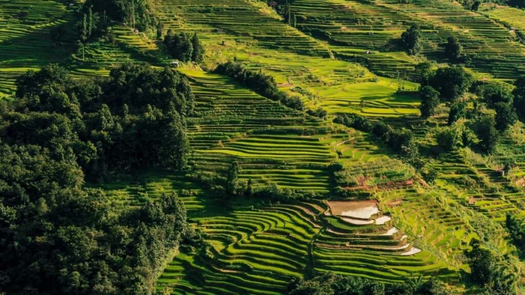 2025 Myanmar LINE เต็มรูปแบบอัตราค่าบริการโฆษณา