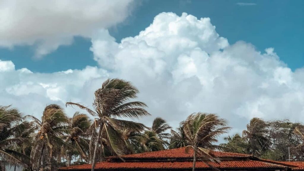 ຄູ່ມືສຳລັບຜູ້ປ່ອຍໃນອາເລເຈີໃຊ້ Reddit ເພື່ອສົ່ງ PR package ພິເສດ ແລະການຕະຫຼາດອອນໄລນ໌ທີ່ບໍ່ຄ້າງຄາງ.