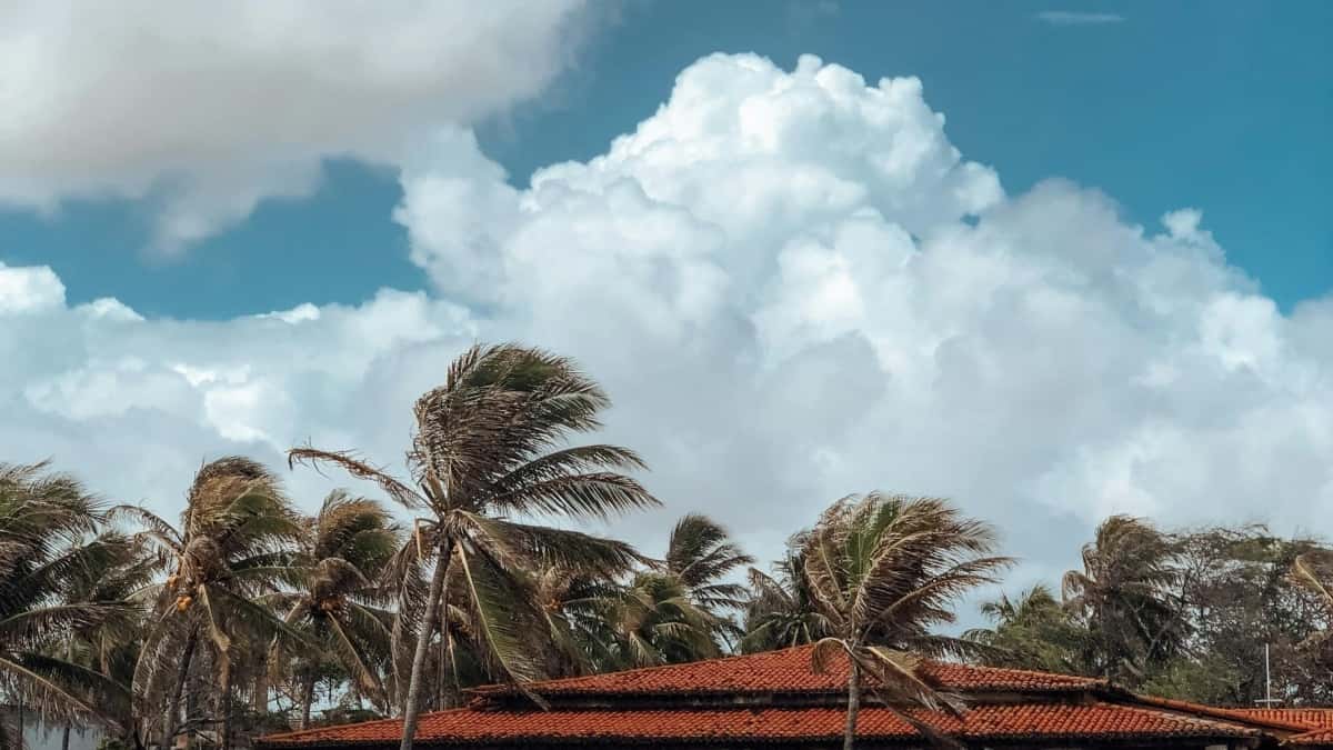 ຜູ້ປ່ອຍໃນອາເລເຈີ ໃຊ້ Reddit ສ່ວນປະກອບສໍາລັບການສົ່ງ PR package ພິເສດແບບທີ່ບໍ່ມີໃຜຮູ້