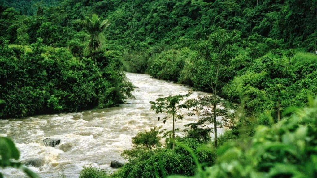 ShareChat Laos Tanzania.