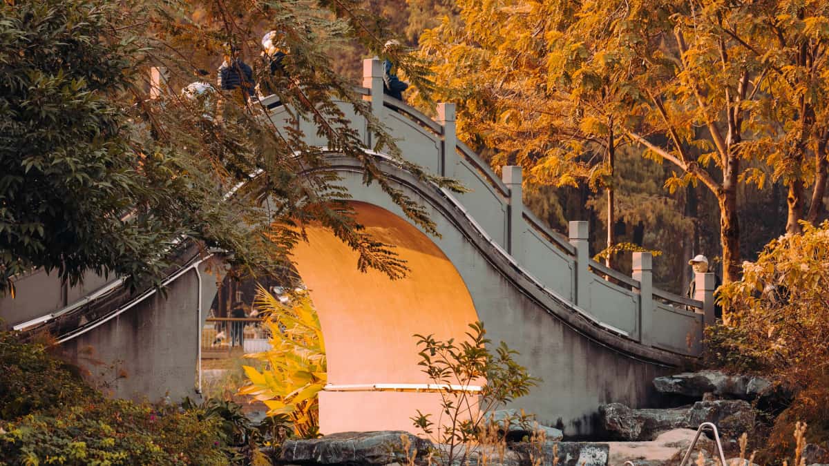 Laos Marketers: Find Iran Moj Creators Fast