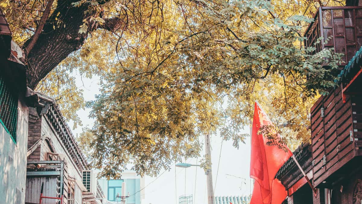 Laos Brands: Find Ireland Xiaohongshu Creators for Eco Wins