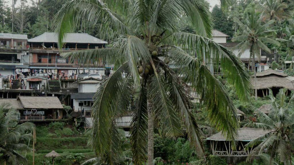 Viber fashion lookbooks .