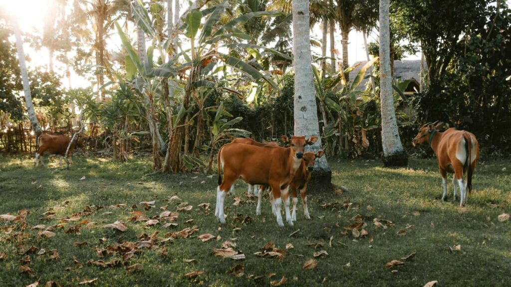 , , beauty ambassador Takatak.