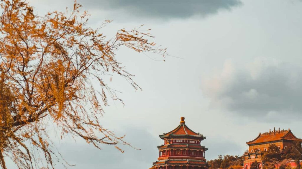 Austria Line creators , , pop-up, .