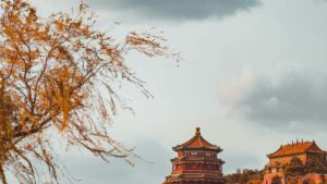 Austria Line creators , , pop-up, .