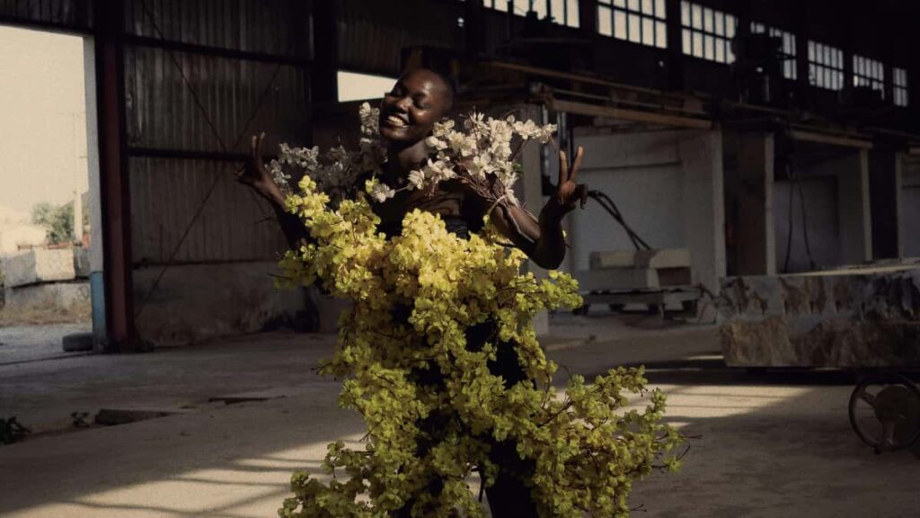 Hulu: , , ROI (2025).