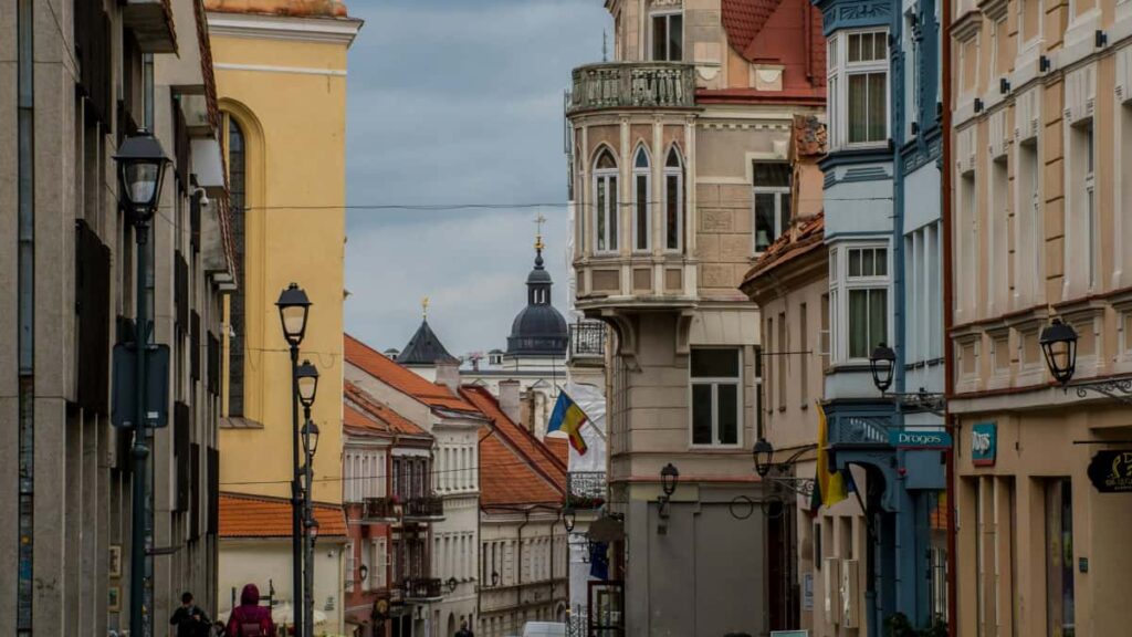 Creator Tunisia Chingari , Seeding, .