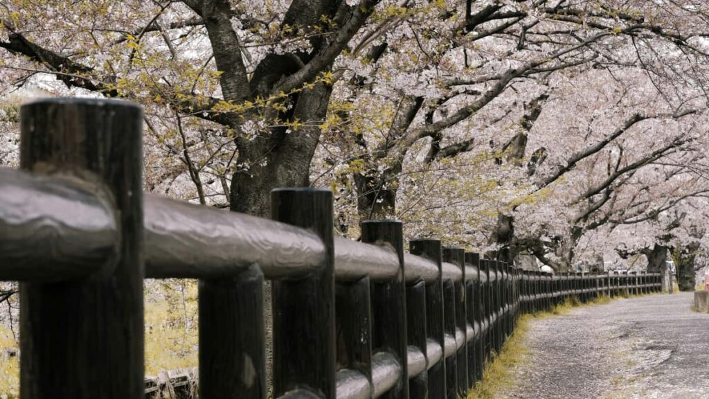 Josh PR package unboxing/review.