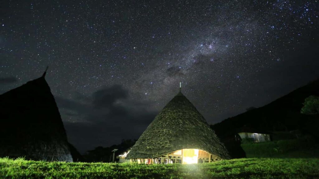 : Brazil Rumble creators .