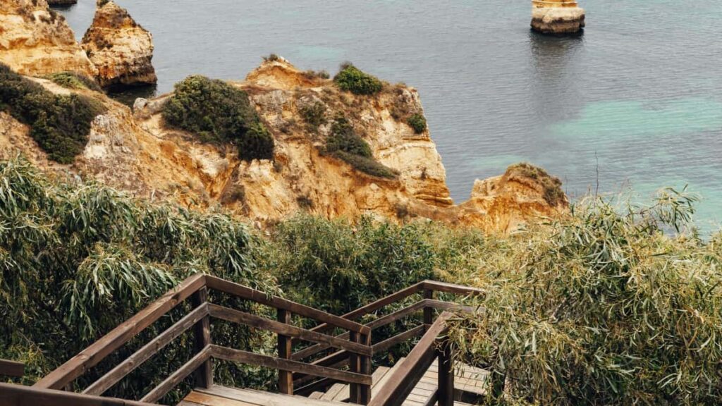 : Mongolia Netflix, , wellness ."