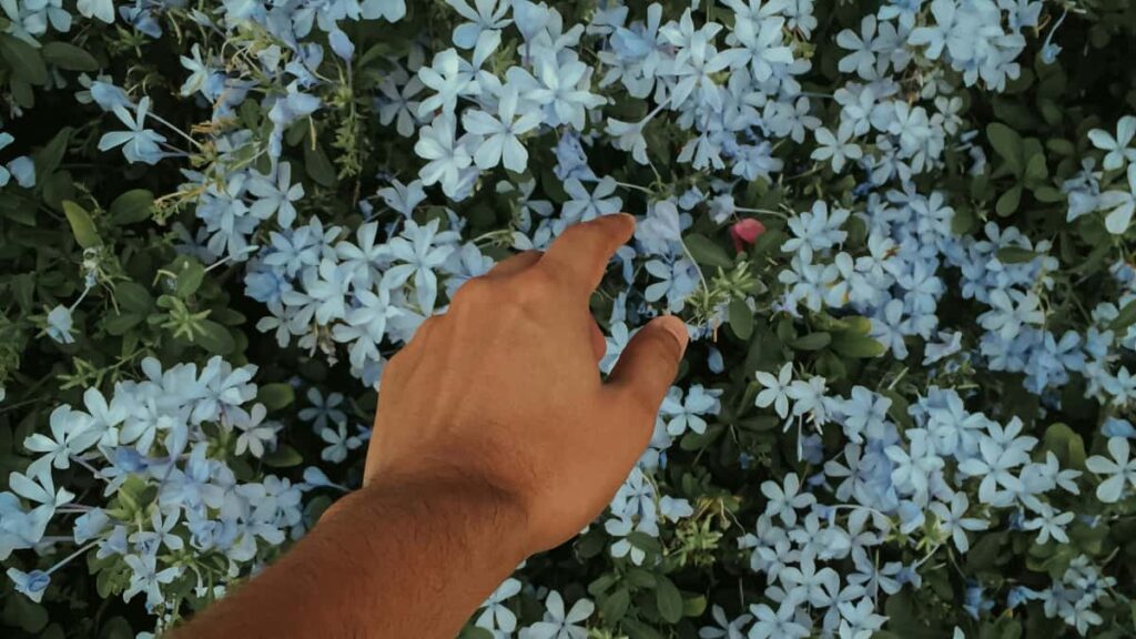 Netherlands Takatak content sponsored.