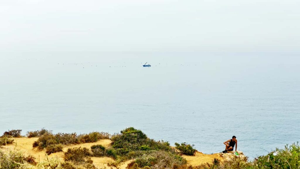 Twitch unboxing , , .