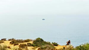 Twitch unboxing , , .