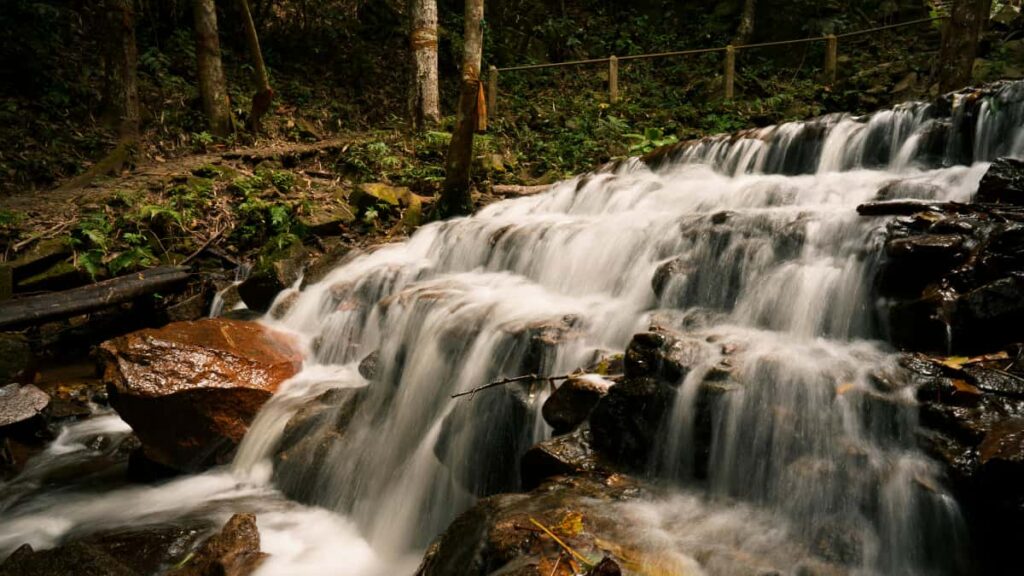 , , Douyin creators Israel .