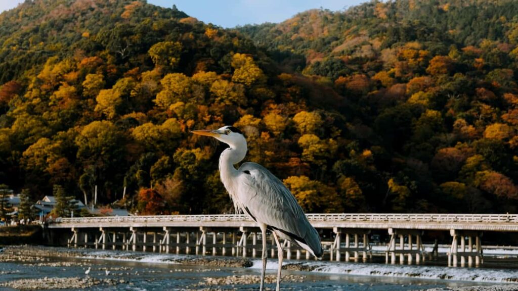 Instagram Mexico , , .