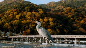 Instagram Mexico , , .