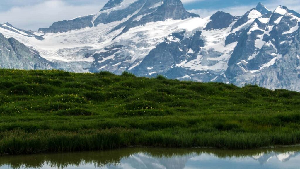 Bosnia and Herzegovina Disney Plus , , .