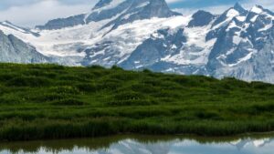 Bosnia and Herzegovina Disney Plus , , .